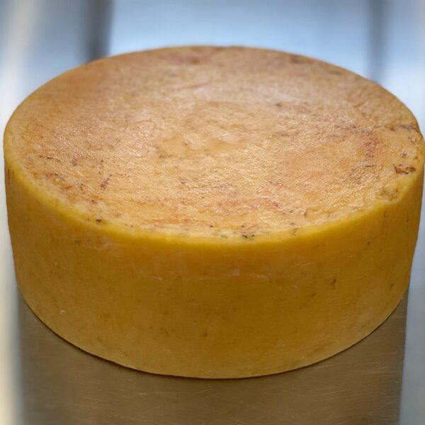 Queso Cheddar