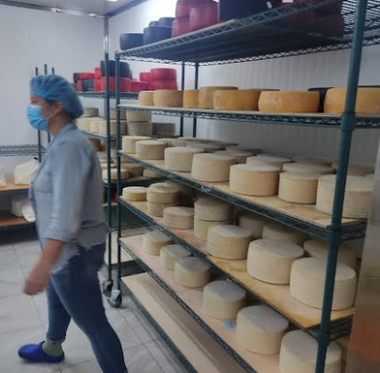 Making and aging cheeses requires a strict protocol of precise measurements in a temperature-controlled, sanitary environment.