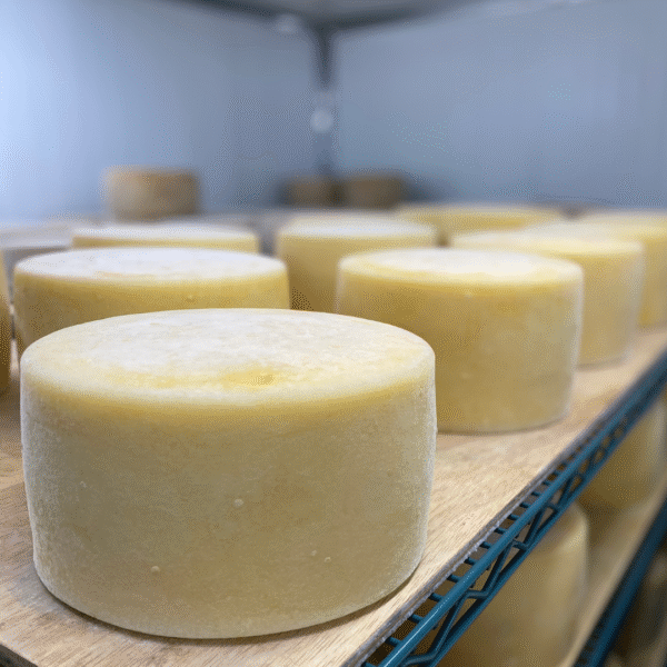 Pecorino Romano